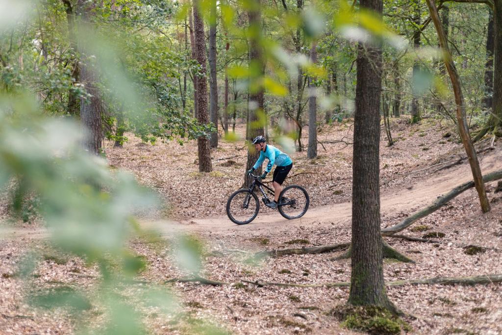 Siblu-Lentevandrenthe-Mountainbike